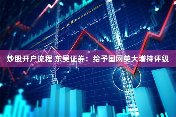 炒股开户流程 东吴证券：给予国网英大增持评级