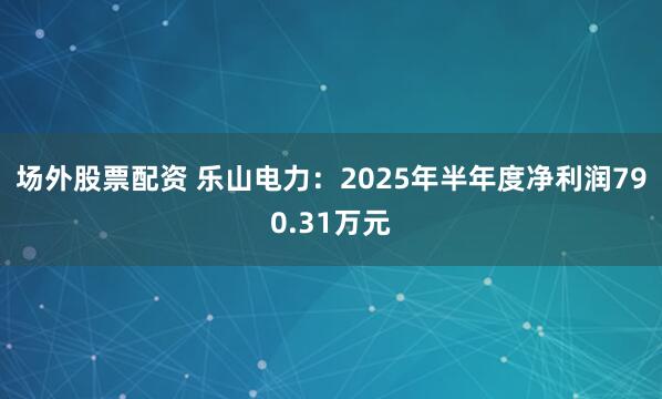 场外股票配资 乐山电力：2025年半年度净利润790.31万元